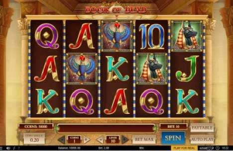 Book of Dead slot