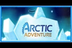 Arctic Adventure