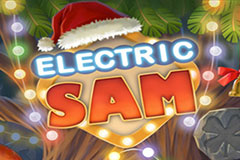 Electric Sam
