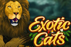 Exotic Cats