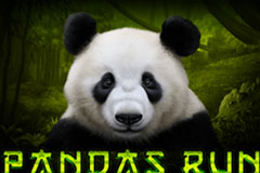 Pandas Run