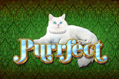 Purrfect