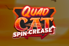 Quad Cat