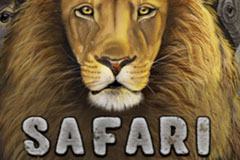 Safari
