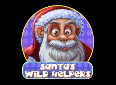 Santa Wild Helpers