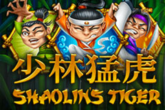 Shaolin’s Tiger