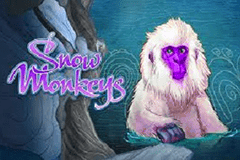 Snow Monkeys