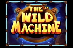 The Wild Machine
