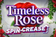 Timeless Rose 