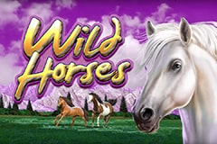 Wild Horses 