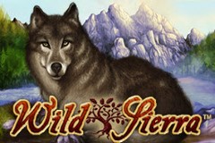 Wild Sierra
