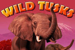 Wild Tusks